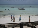   : Zanzibar 2011